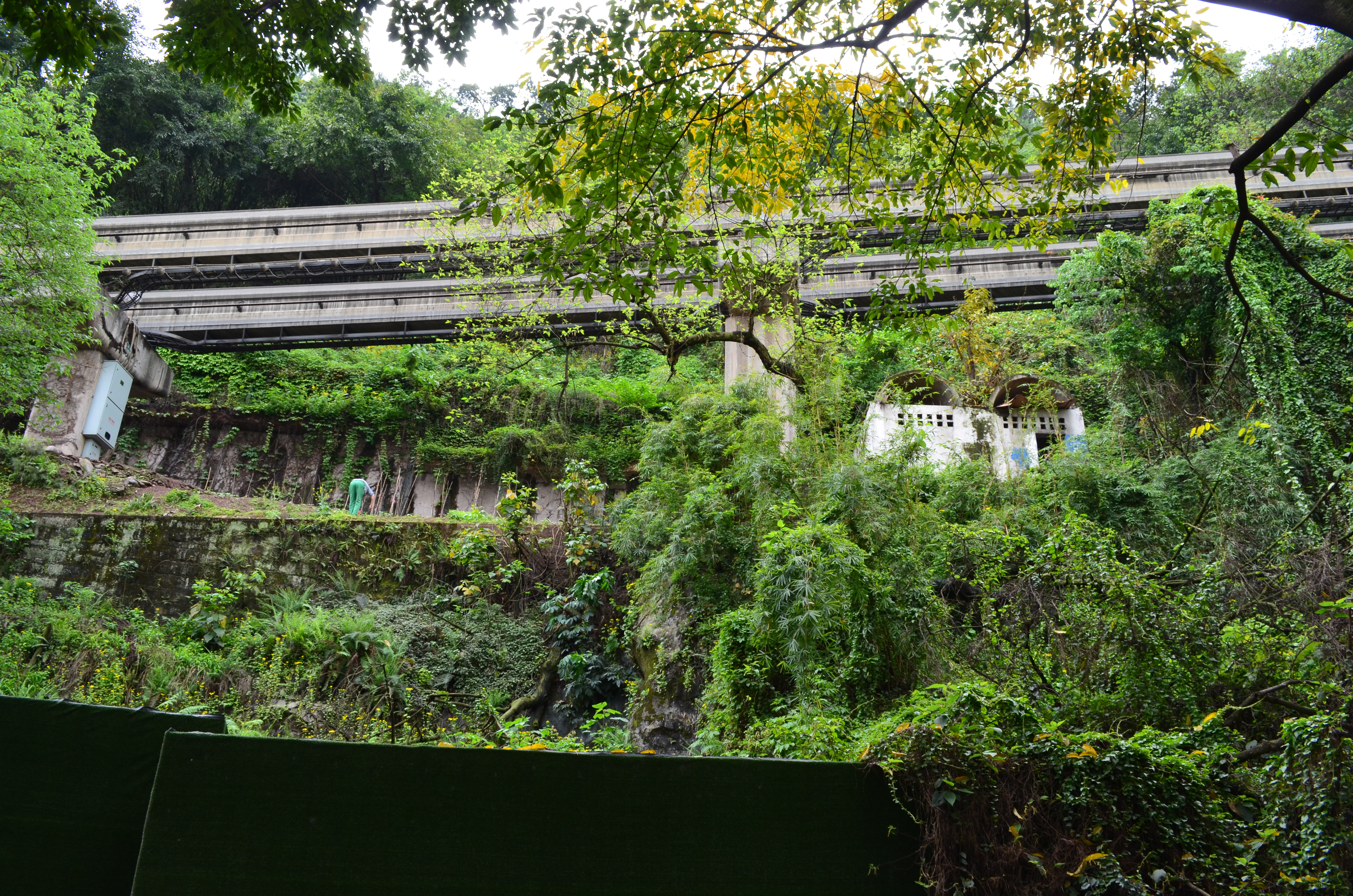 ./2018/03 - Viking China/15 - Chongqing/DSC_0795.JPG